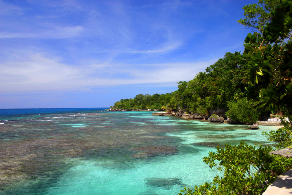 Ямайка является третьим по площади из Карибских островов, входит в состав б...